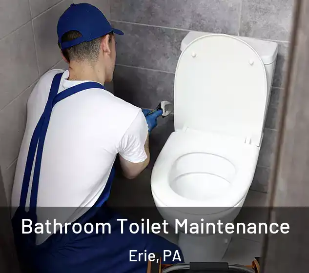  Bathroom Toilet Maintenance Erie, PA