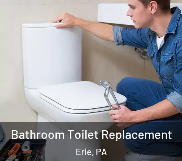  Bathroom Toilet Replacement Erie, PA