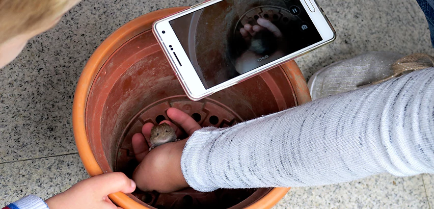 Scope of Drain Camera Inspection Services in Erie, PA