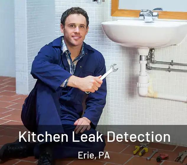 Kitchen Leak Detection Erie, PA