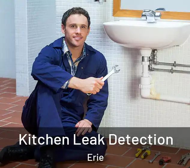  Kitchen Leak Detection Erie