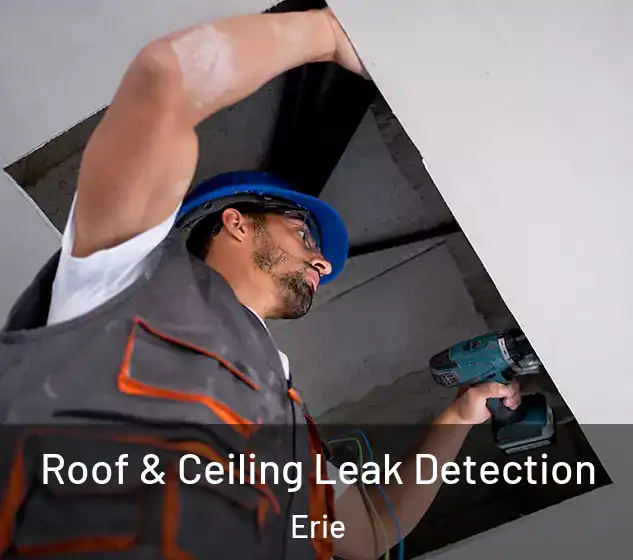  Roof & Ceiling Leak Detection Erie