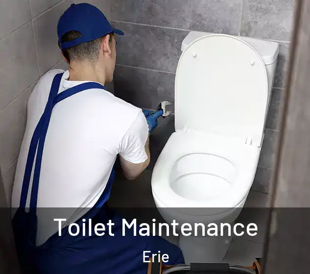  Toilet Maintenance Erie