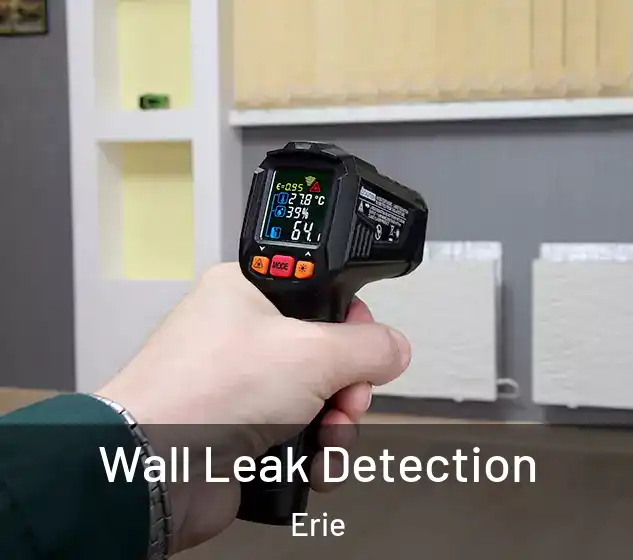  Wall Leak Detection Erie
