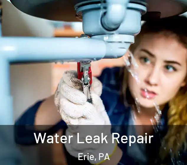  Water Leak Repair Erie, PA